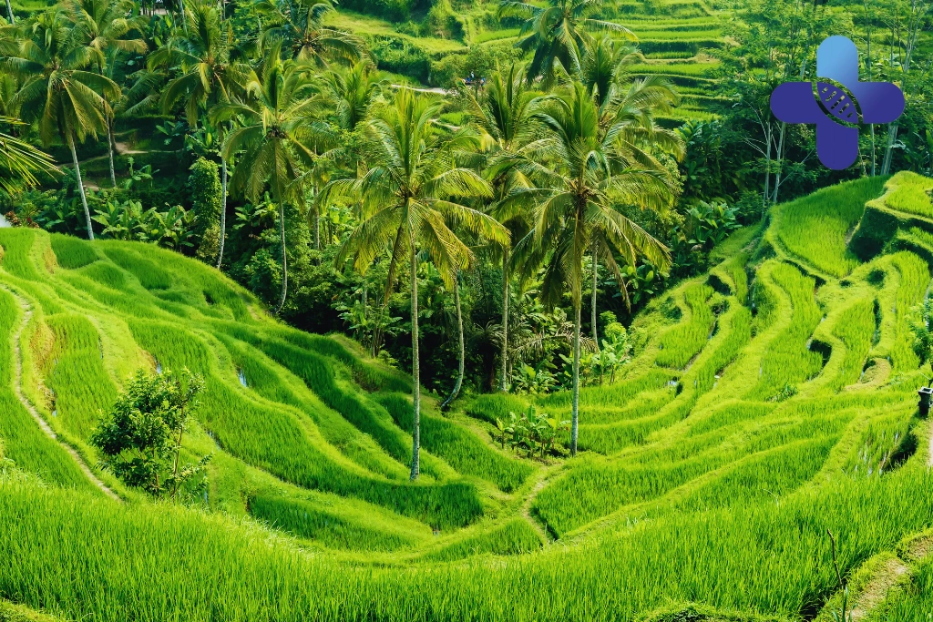 Conclusion - Internist in Bali_ When to See a Specialist for Chronic or Unexplained Symptoms