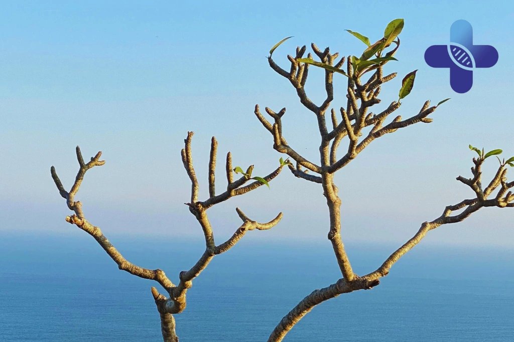Conclusion – Chronic Disease Management While Living Abroad_ A Bali Guide